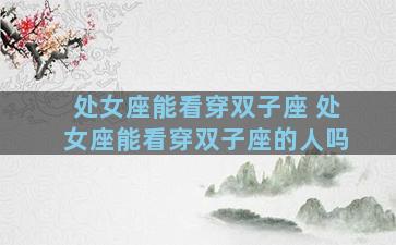 处女座能看穿双子座 处女座能看穿双子座的人吗
